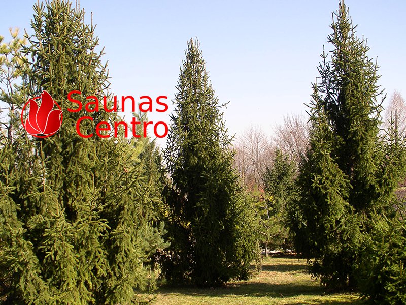 madera de abeto fabricar saunas